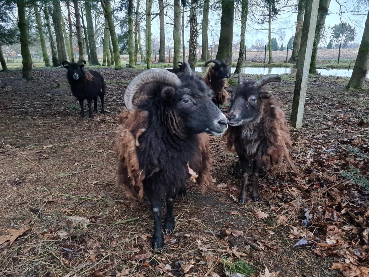 Parkhoeve Ham Exteriör bild